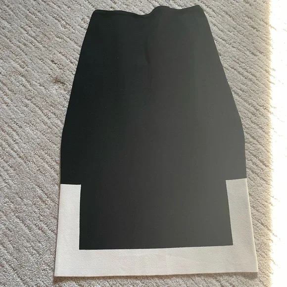 Alexander Wang Black and White Midi Skirt - Picture 1 of 3